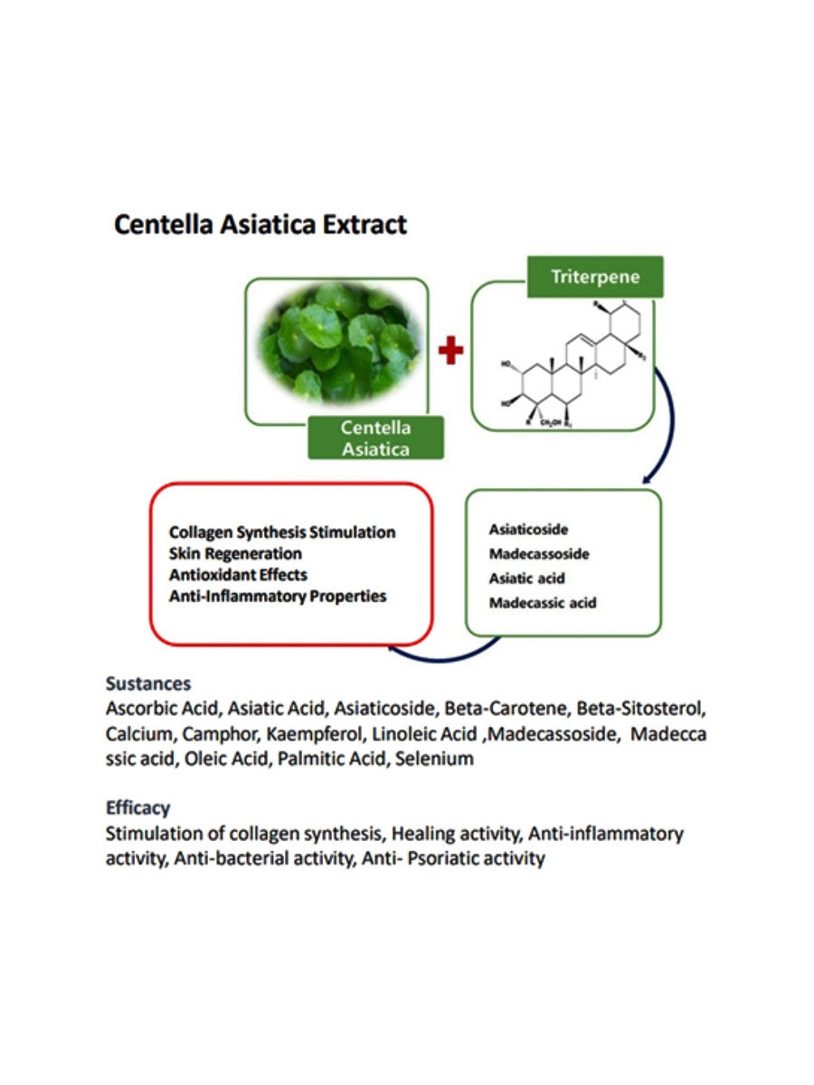 [SHOWLAB] Exosome Collagen 88 Booster Serum (50ml/1.69fl.oz)