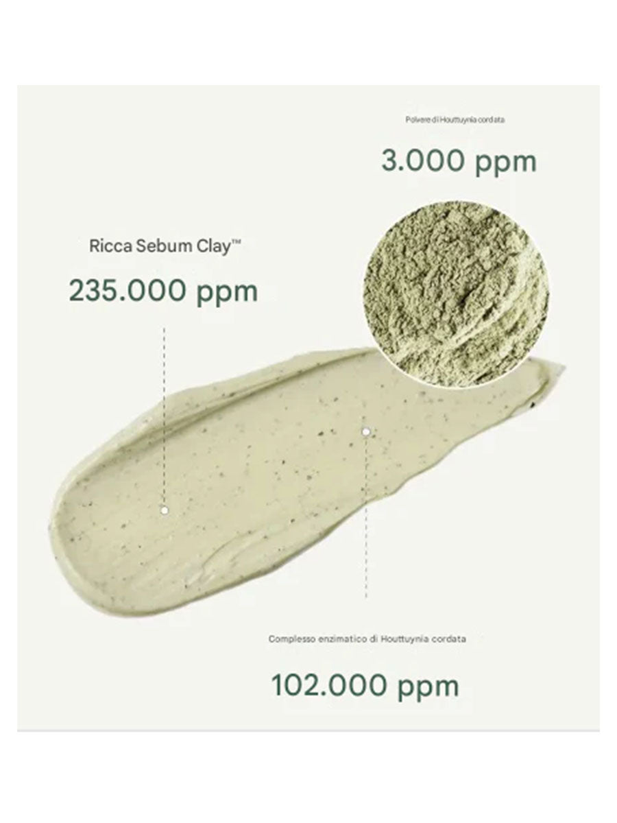 [Anua] Heartleaf Pore Clay Pack (100Ml /3.52 fl.oz)